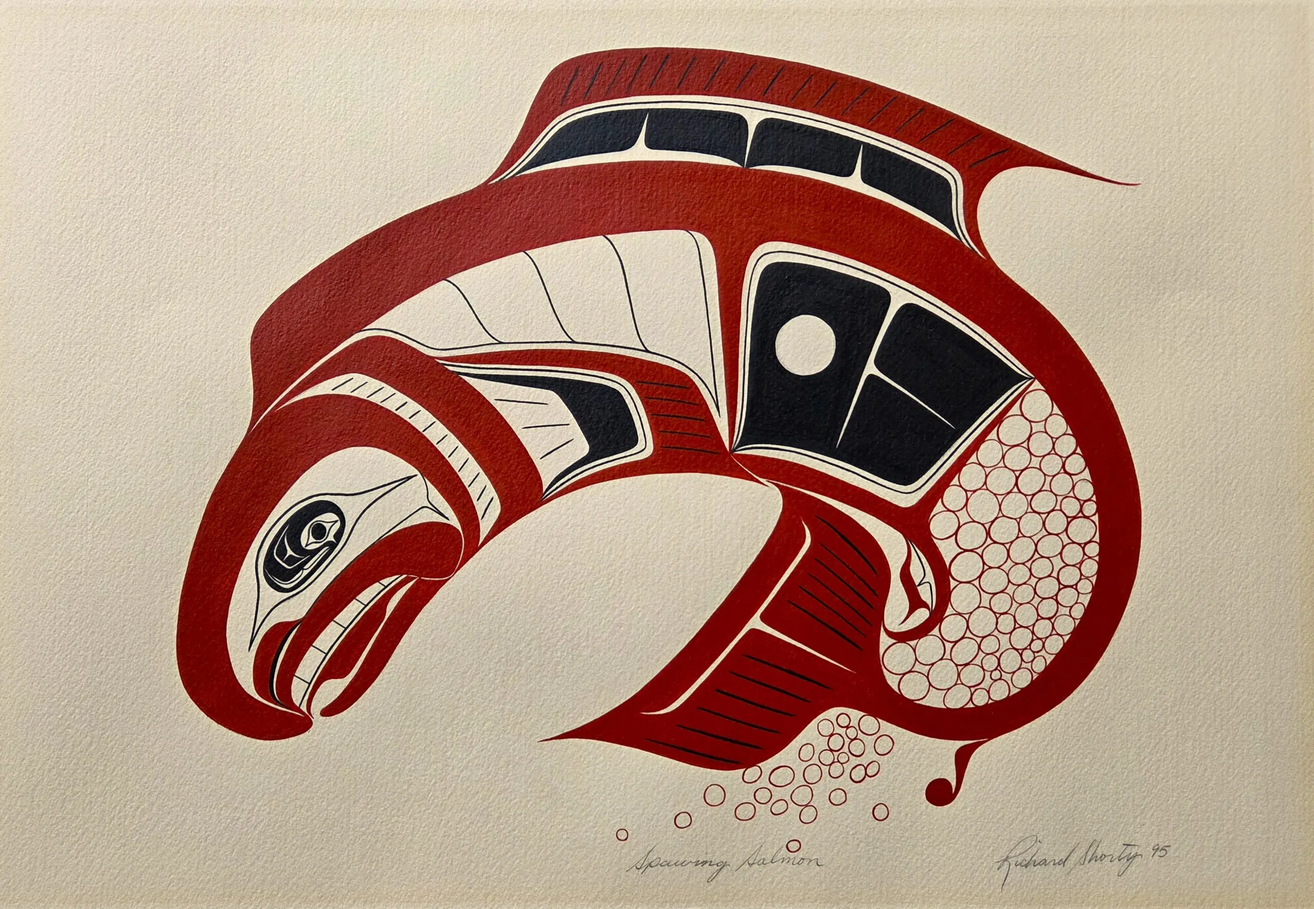Spawning Salmon