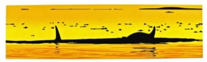 Indigenous art print titled Baby Orca by Roy Henry Vickers
