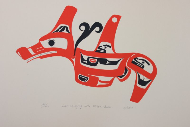 Wolf Changing Into Killerwhale